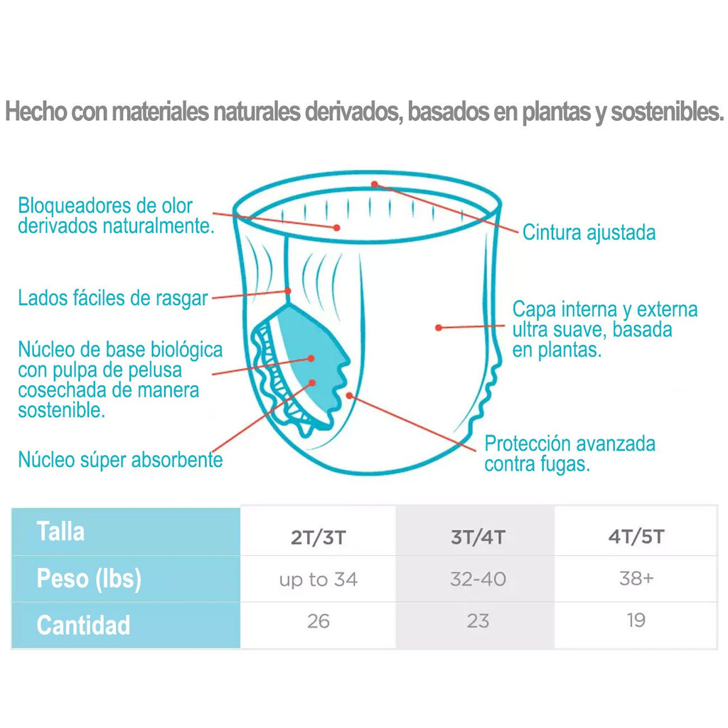Honest Pañales Entrenadores con Diseño de Zona de Construcción