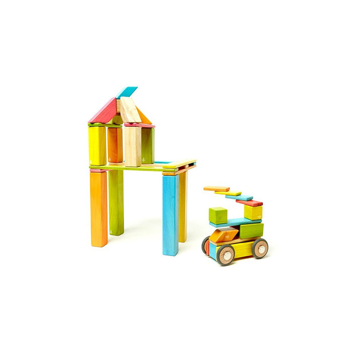 Tegu Set de 42 Piezas Magnéticos Tints